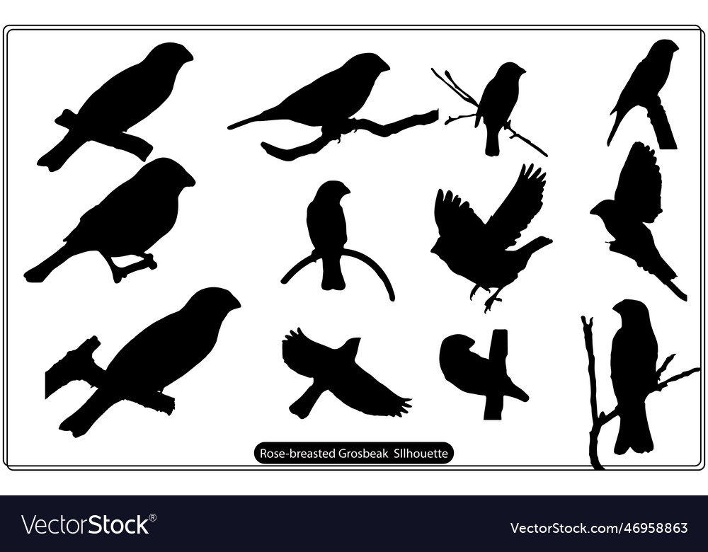 Black silhouette of the rose breasted grosbeak