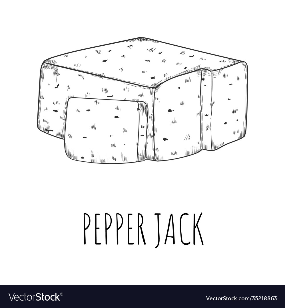 Pepper jack cheese dairy product sketch drawing