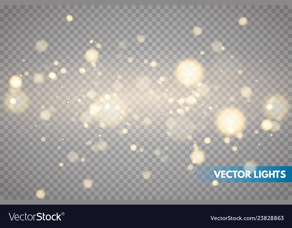 Shining bokeh isolated on transparent background vector image Shining bokeh isolated on transparent background
