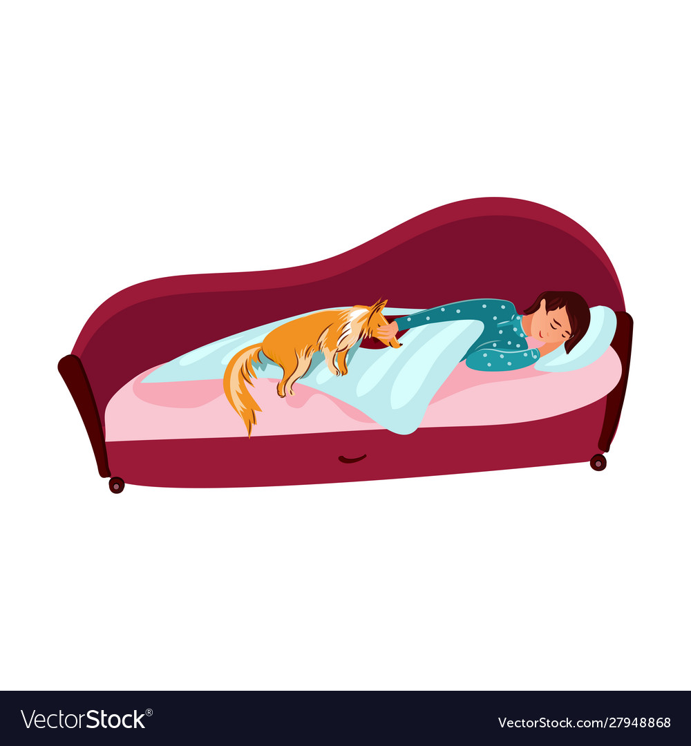 Girl sleeping with her red collie dog together