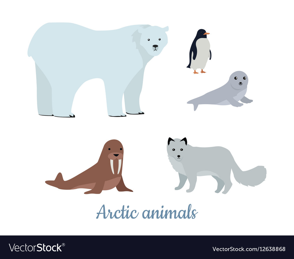 Set of Arctic Animals in Flat Design Royalty Free Vector