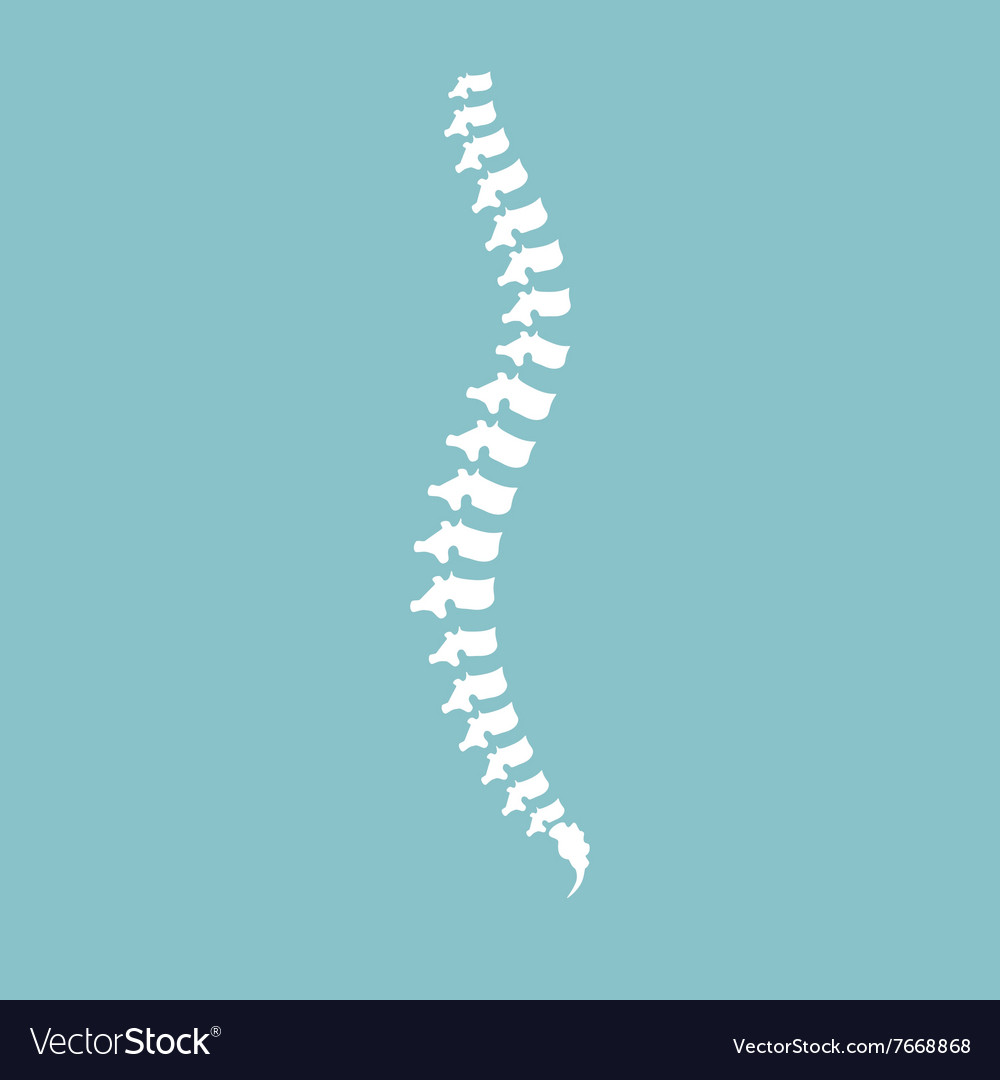 Spine diagnostic center Royalty Free Vector Image