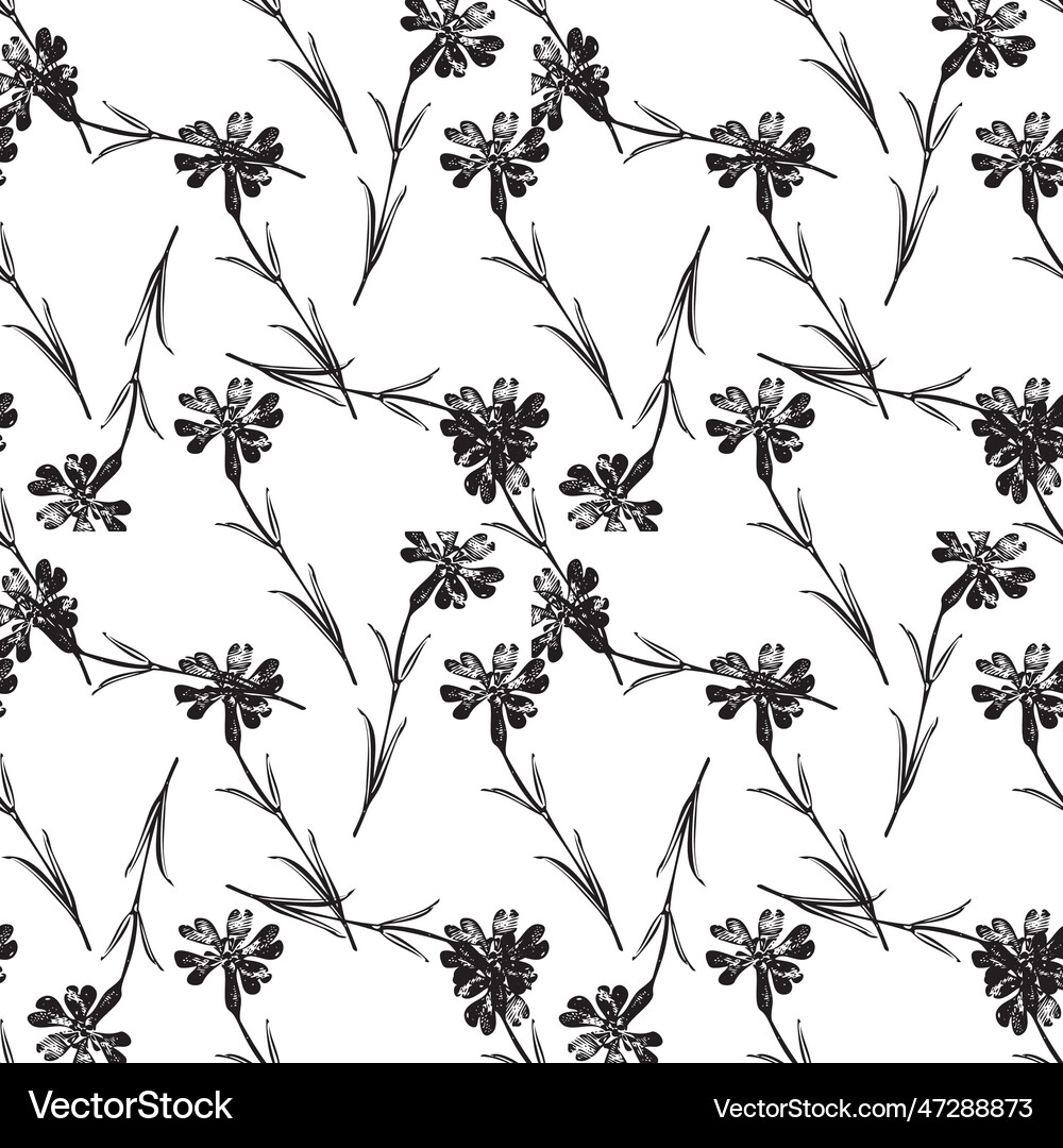 Botanical hand drawn floral seamless pattern Vector Image