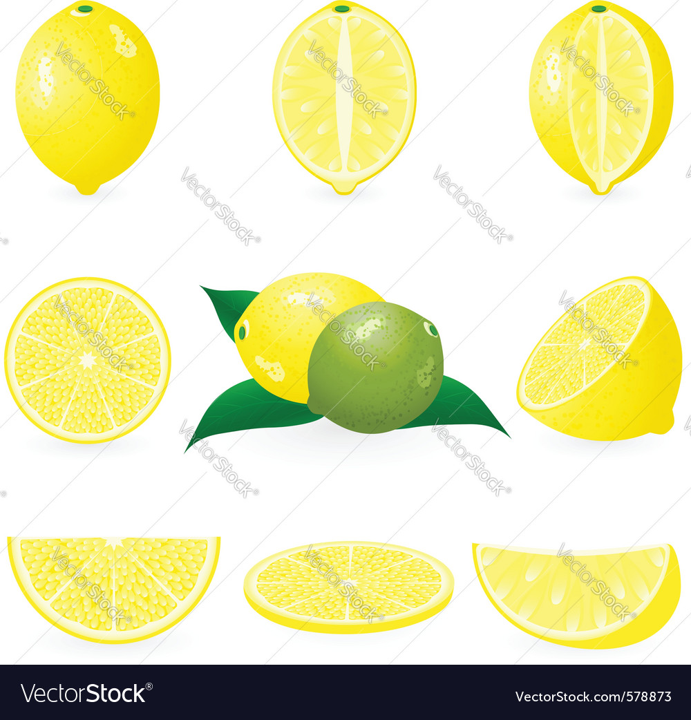 Lemon Slice Collection