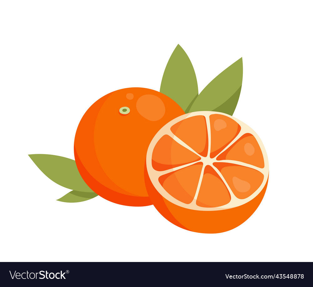 Orange with slice vector image Orange with slice