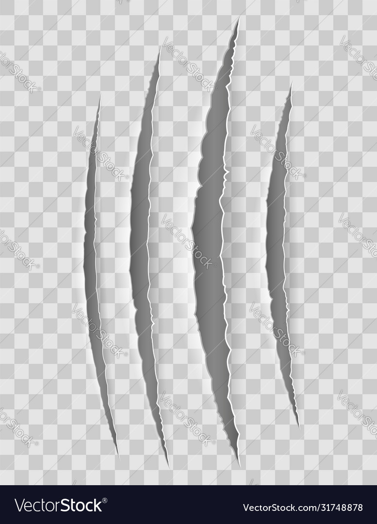 Scratch claw cuts paper with transparent shadows