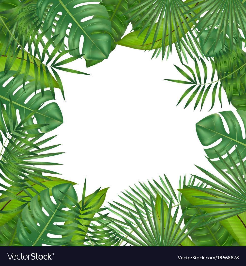 Tropical Green Leaves
