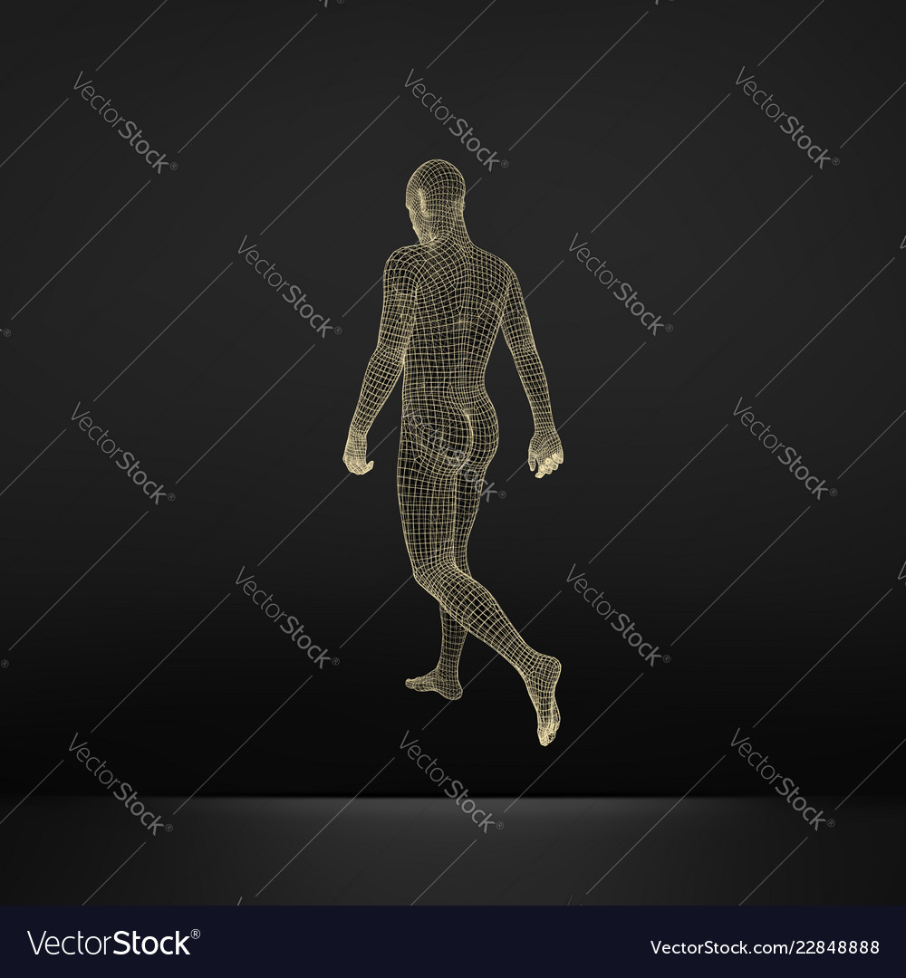 Walking Man 3d Human Body Wire Model Royalty Free Vector