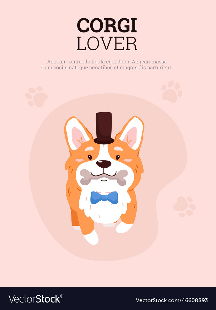 Card or banner for corgi breed dogs lovers