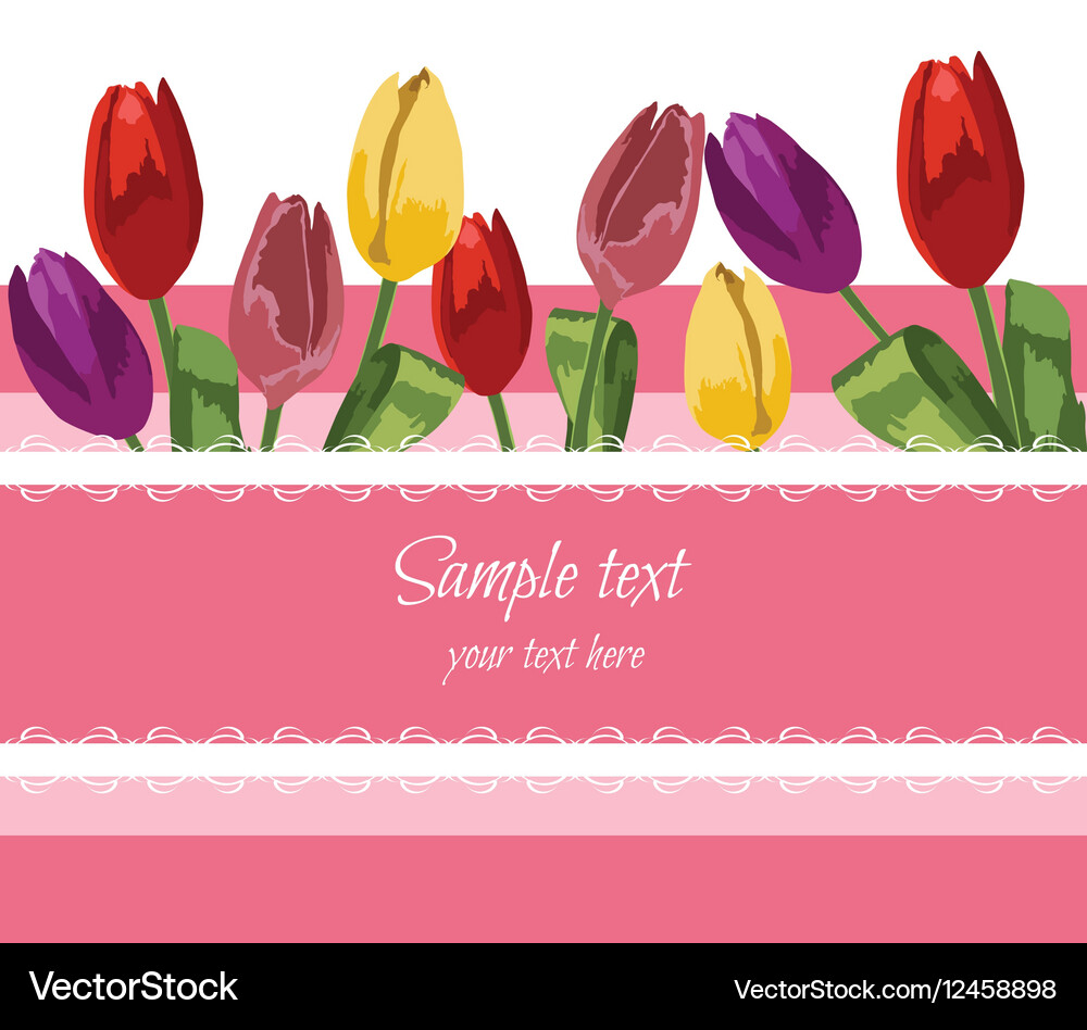 Greeting Card with blooming Tulip Royalty Free Vector Image