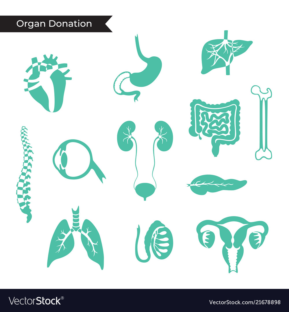 Human Organ Transplantation