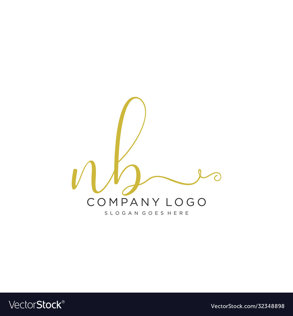 Nb initial handwriting logo design