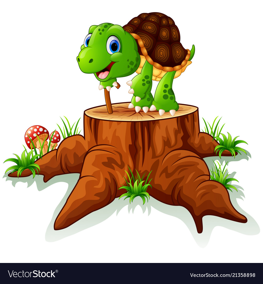 Old turtle posing on tree stump
