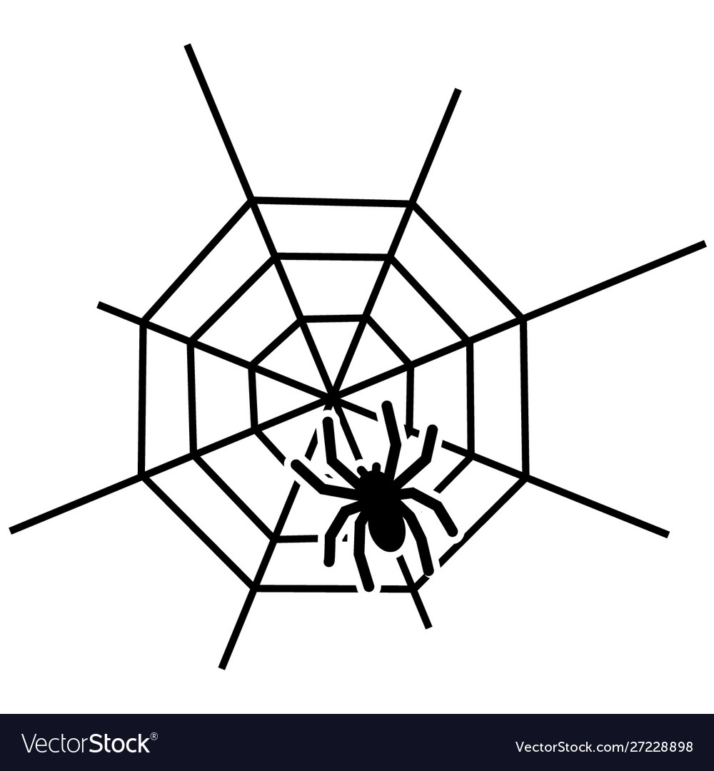 Symmetrical spider web icon, outline style Stock Vector Image & Art - Alamy