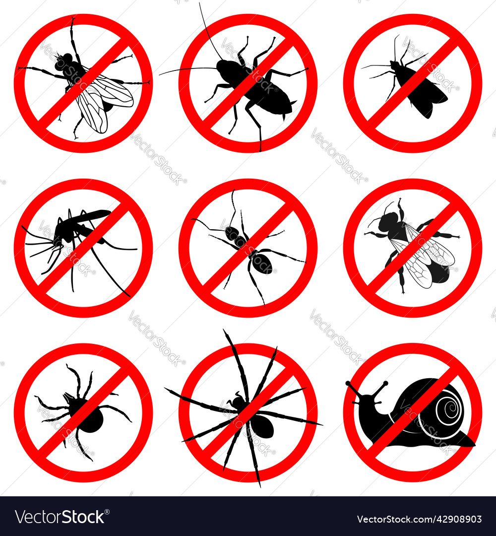 9 insects Royalty Free Vector Image - VectorStock