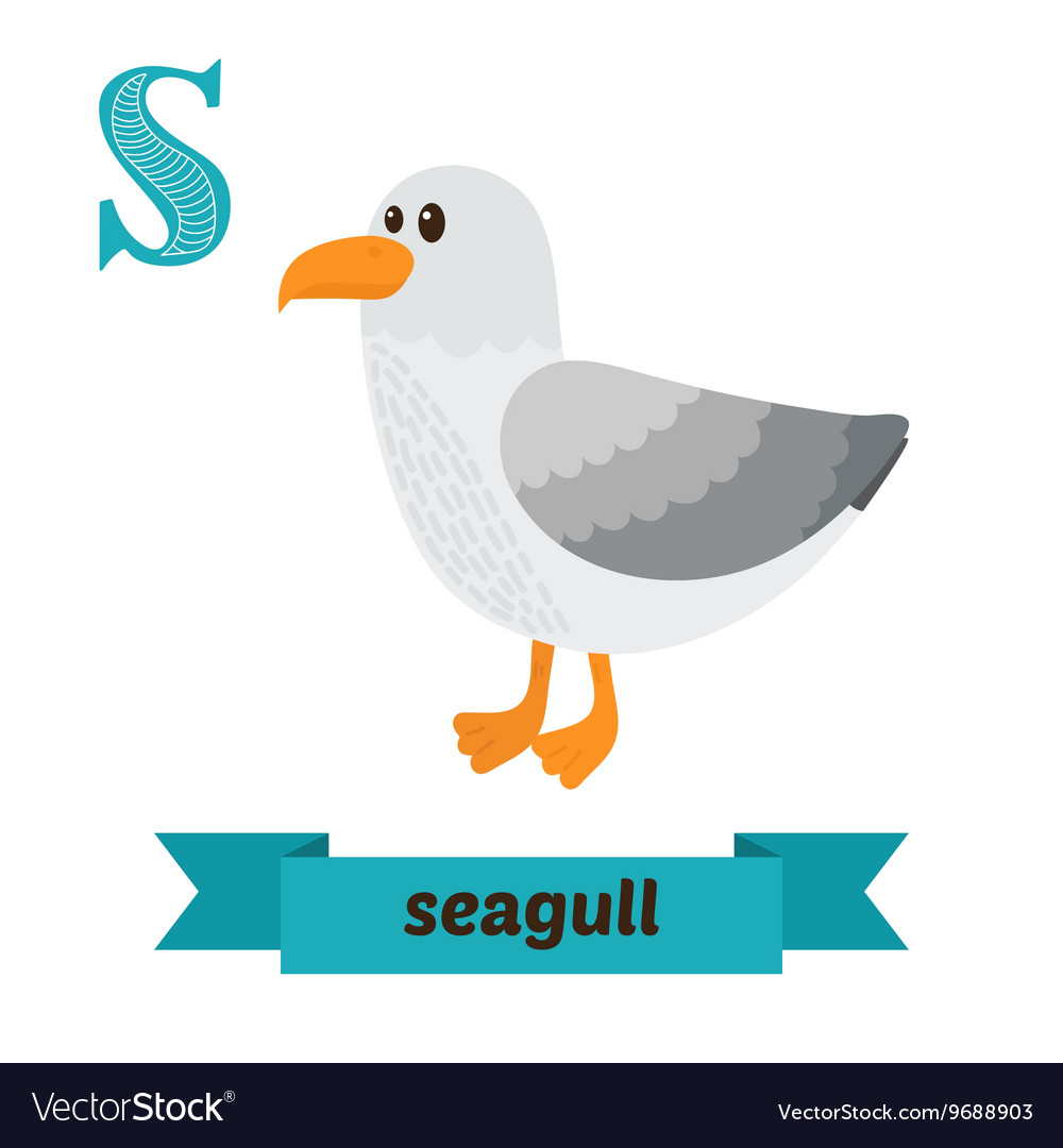 Seagull s letter cute children animal alphabet Vector Image