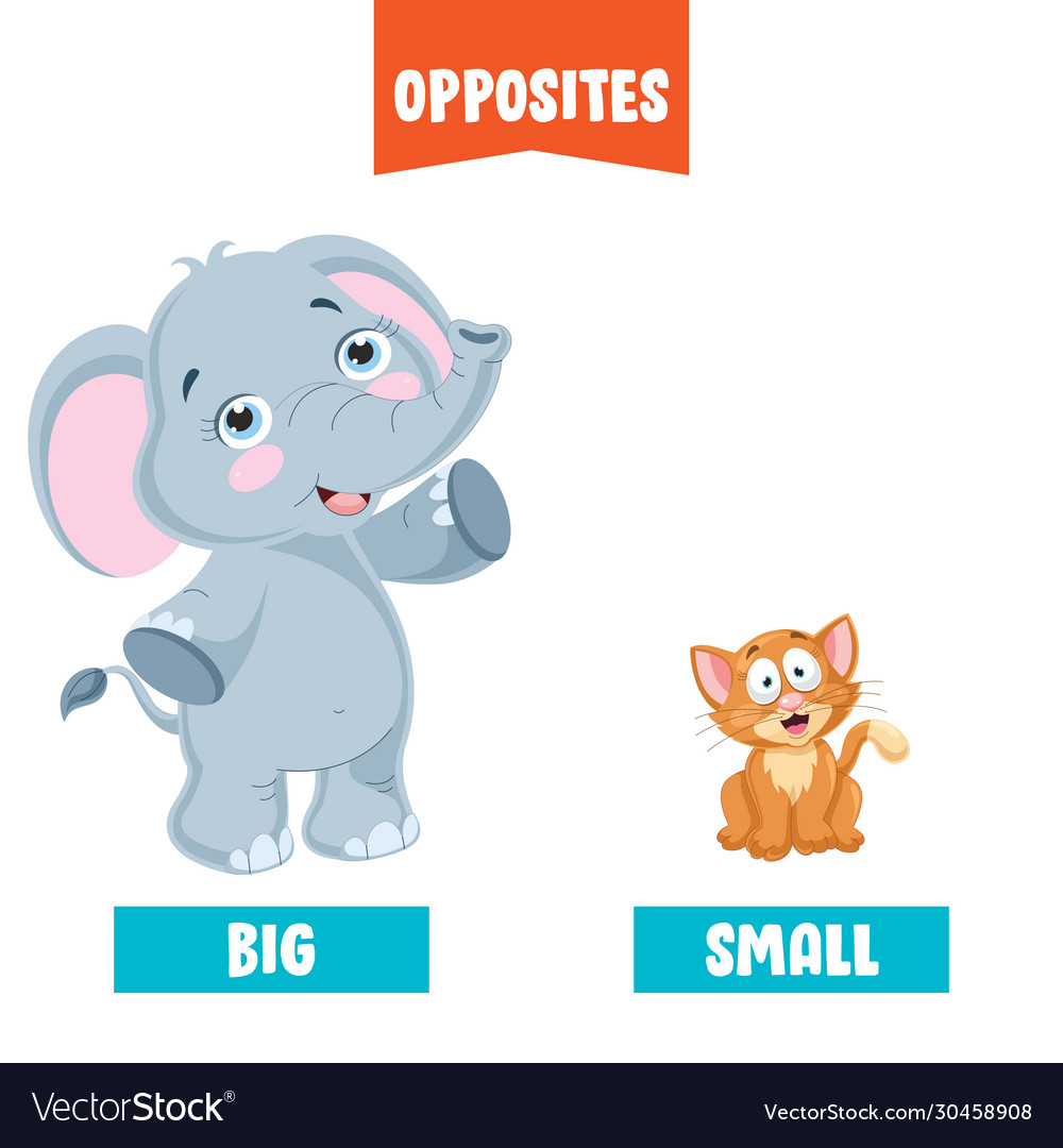 Big And Small Vector Art & Graphics