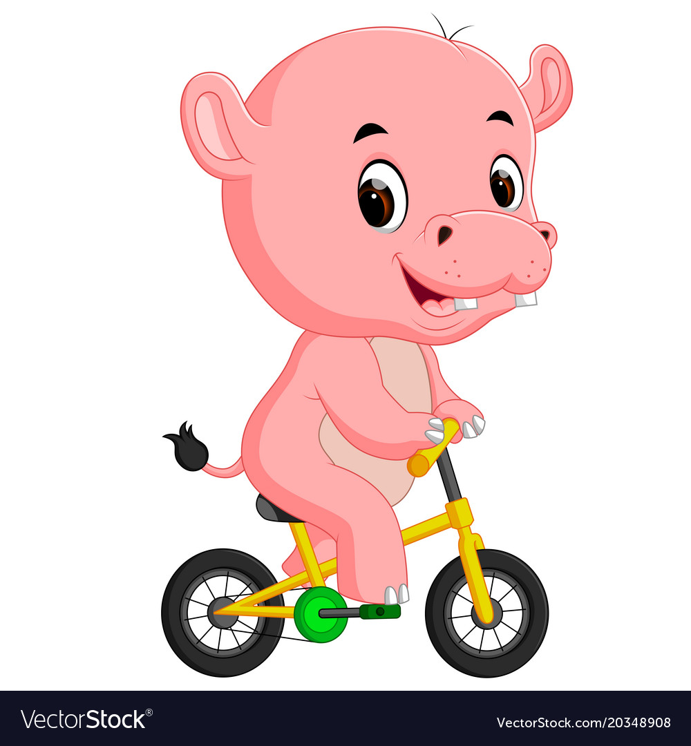 Cute hippopotamus bicycling