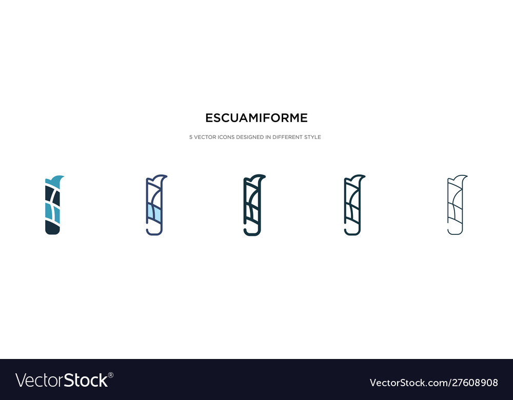 Escuamiforme icon in different style two colored