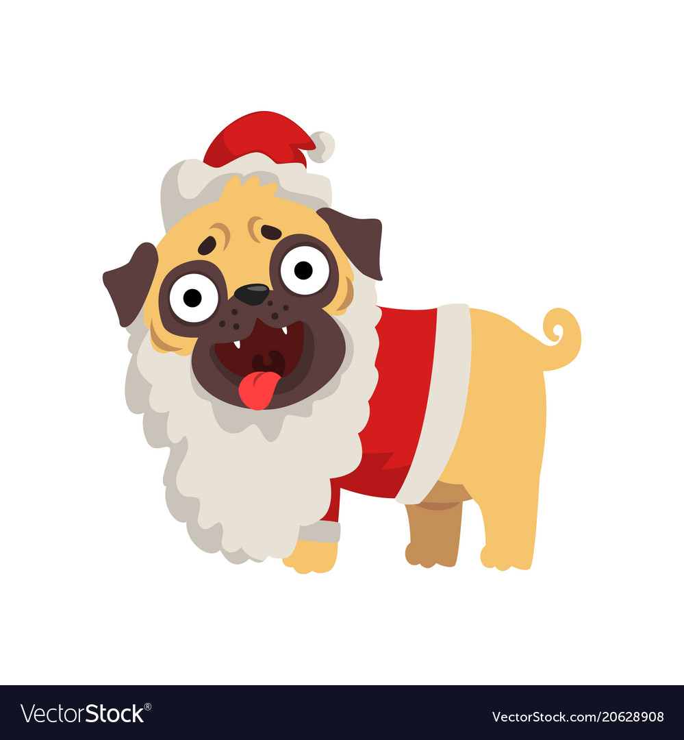 funny pug dog character dressed as santa claus vector image