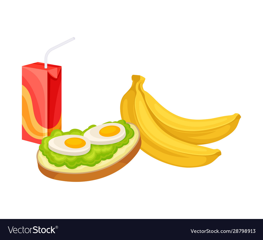 Takeaway products for snack break with sandwich Vector Image