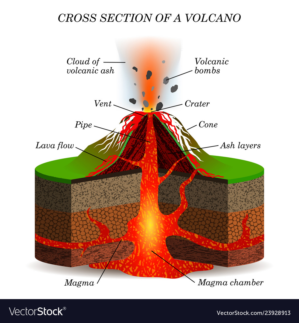 Volcano igneous eruption in cross section Vector Image