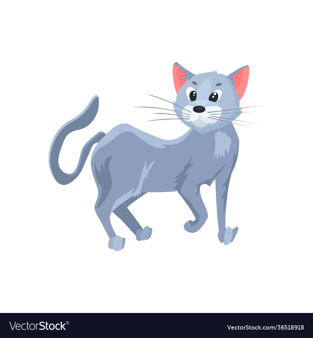Cat Flat Icon Colored Element From Animals Vector Image Cat Flat Icon Colored Element From Animals Vector Image