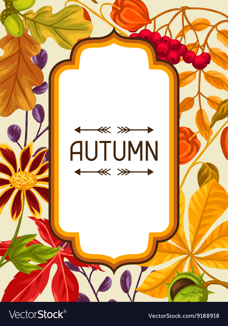 Frame with autumn leaves and plants Design for Vector Image