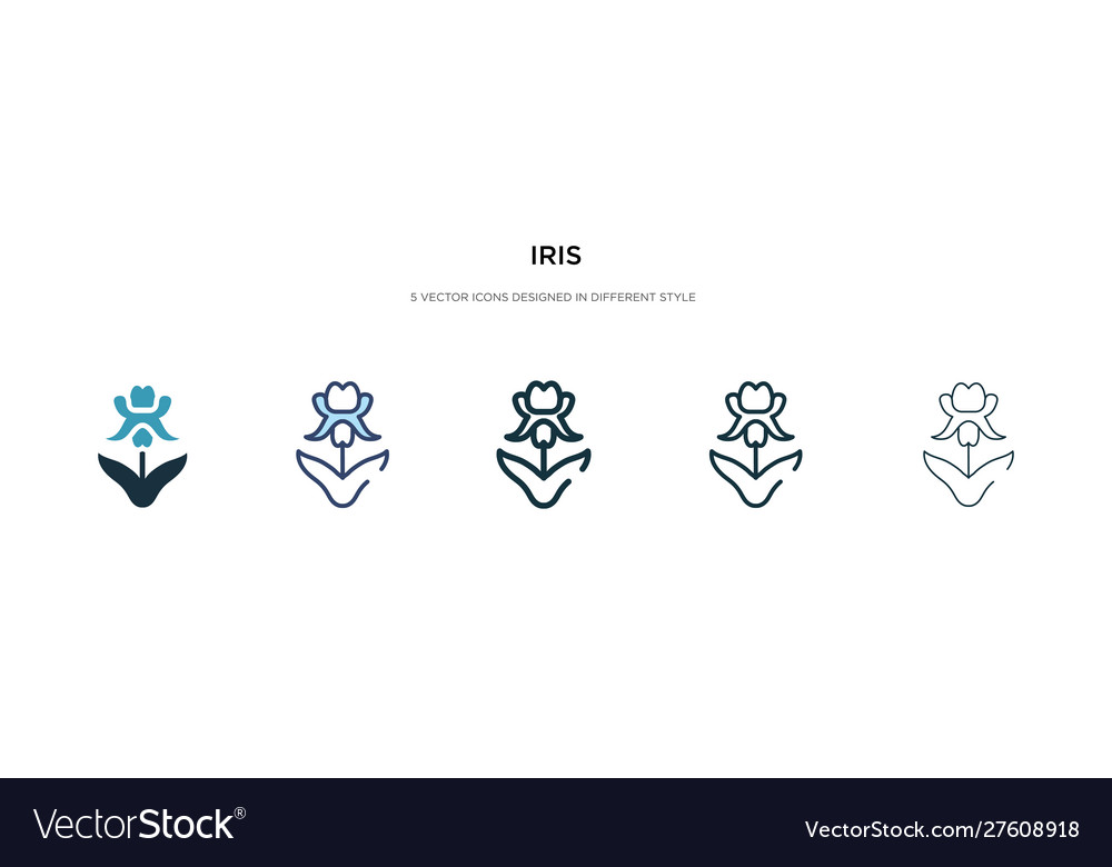 Iris icon in different style two colored Vector Image Iris icon in different style two colored