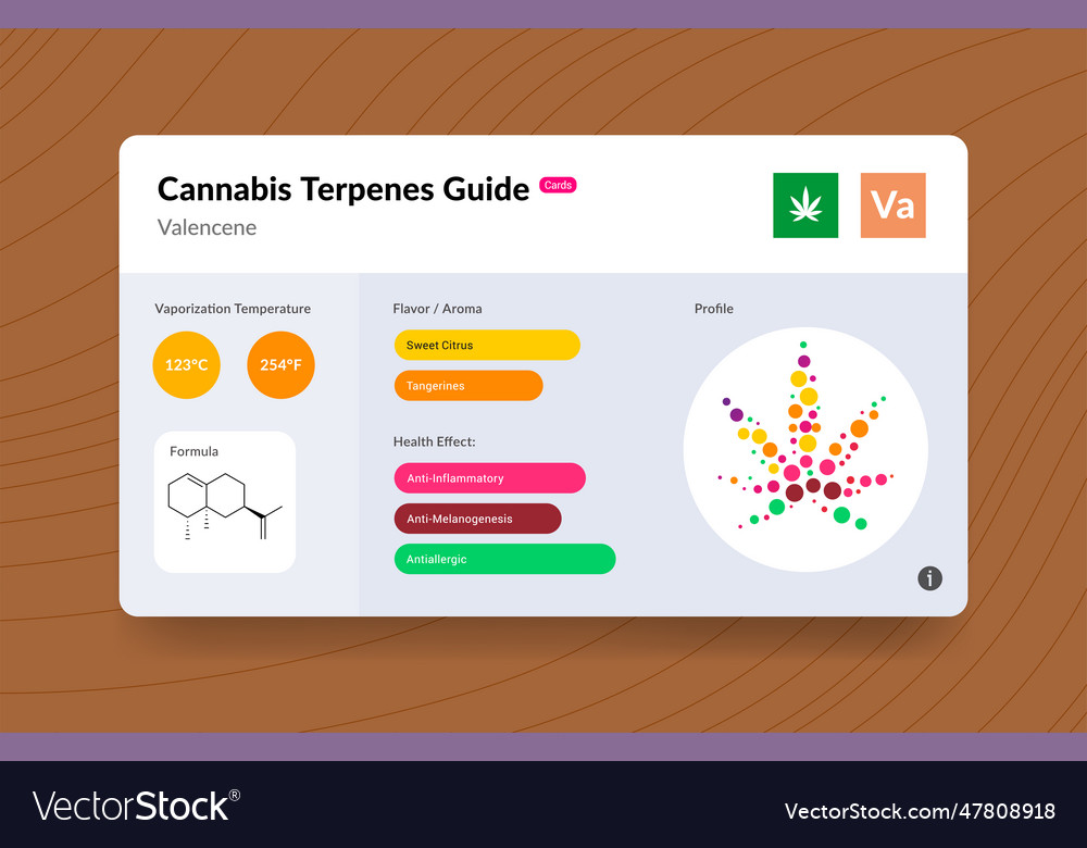 Ui Cannabis Terpene Guide Information Chart Aroma Vector Image 7501