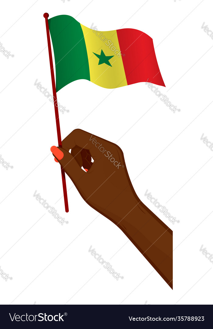 Female hand gently holds small flag republic