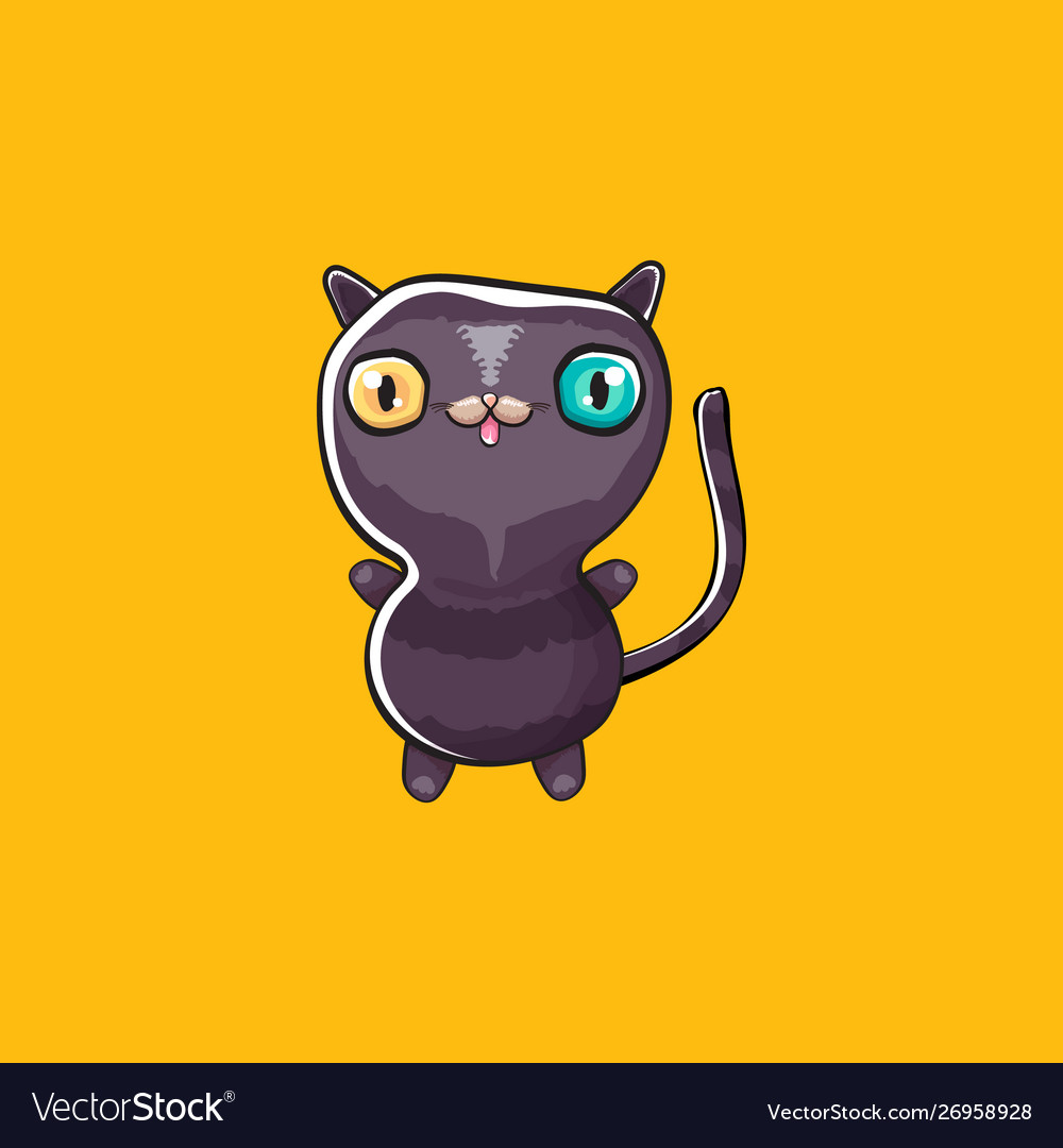 Cute black halloween isolated on orange vector image Cute black halloween isolated on orange