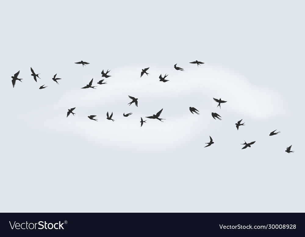Flying birds silhouette flock black marine vector image Flying birds silhouette flock black marine