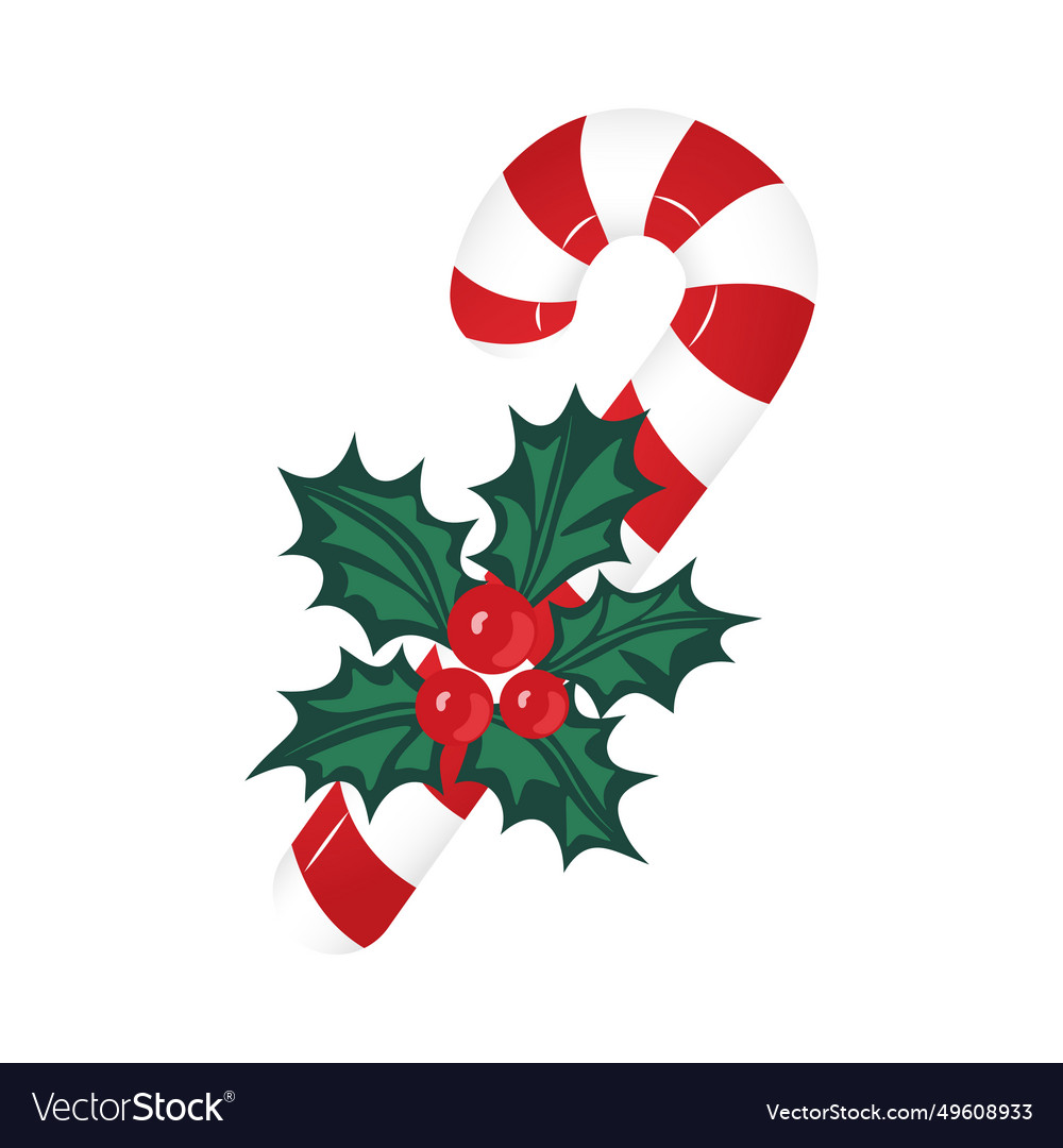 Christmas candy cane decorated with holly berries Vector Image