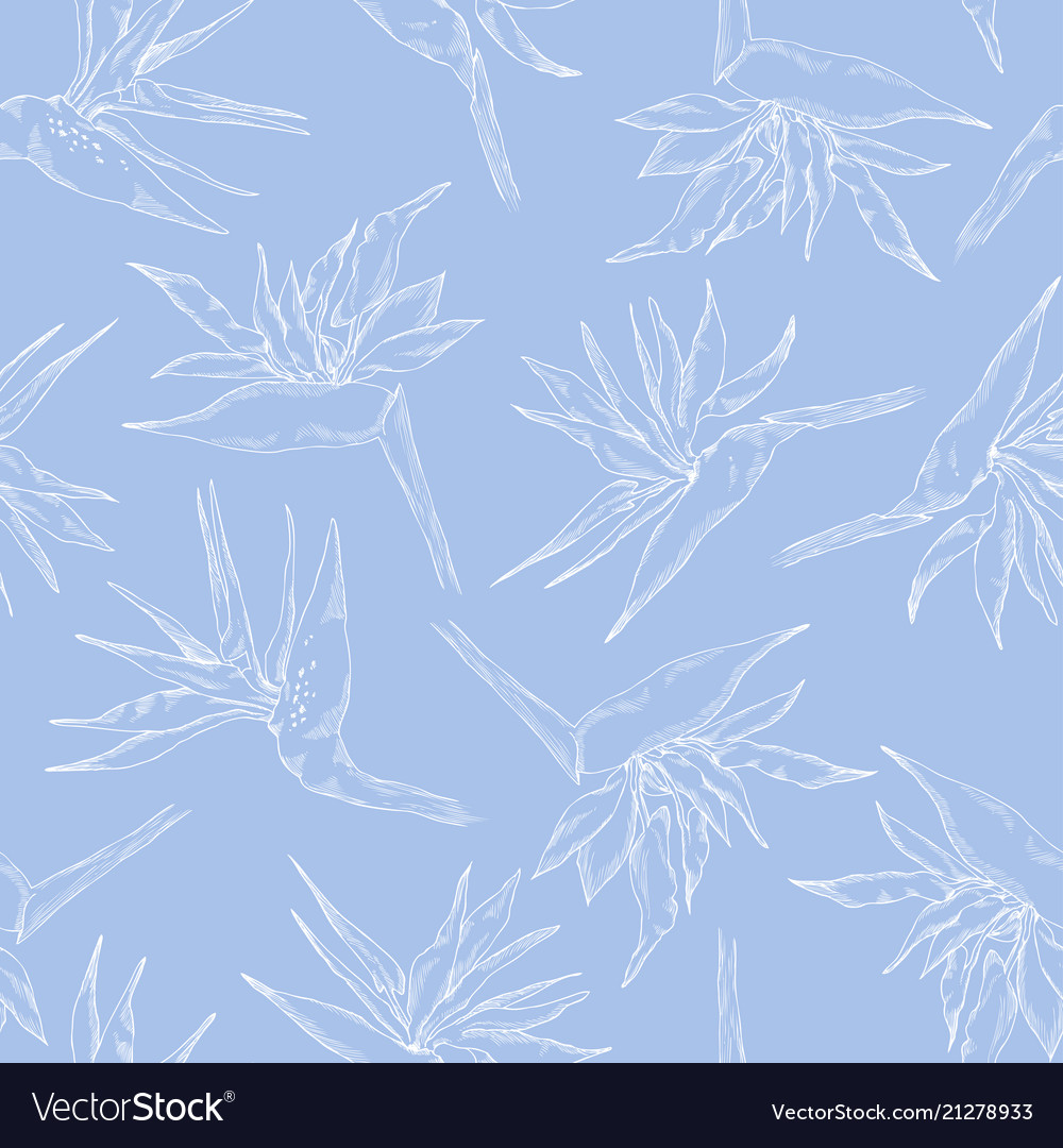 Seamless pattern of linear strelitzia collection