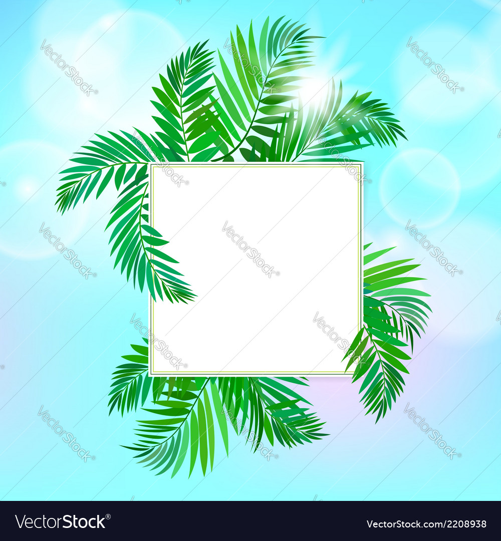 Square card with palm leaves