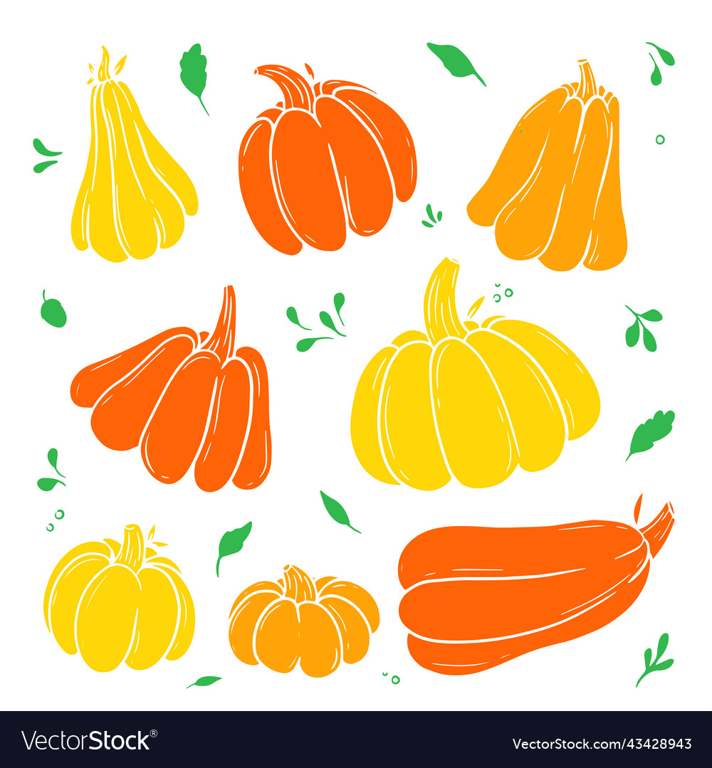 Collection pumkins vegetable set doodle outline