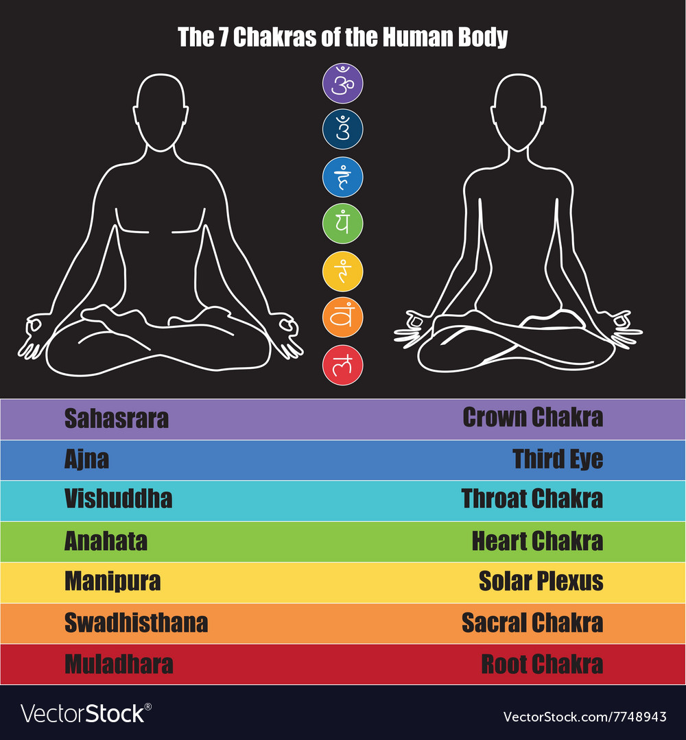 Seven Chakras Of The Human Body Royalty Free Vector Image