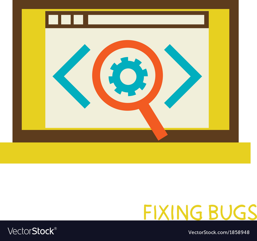 Process of fixing bugs