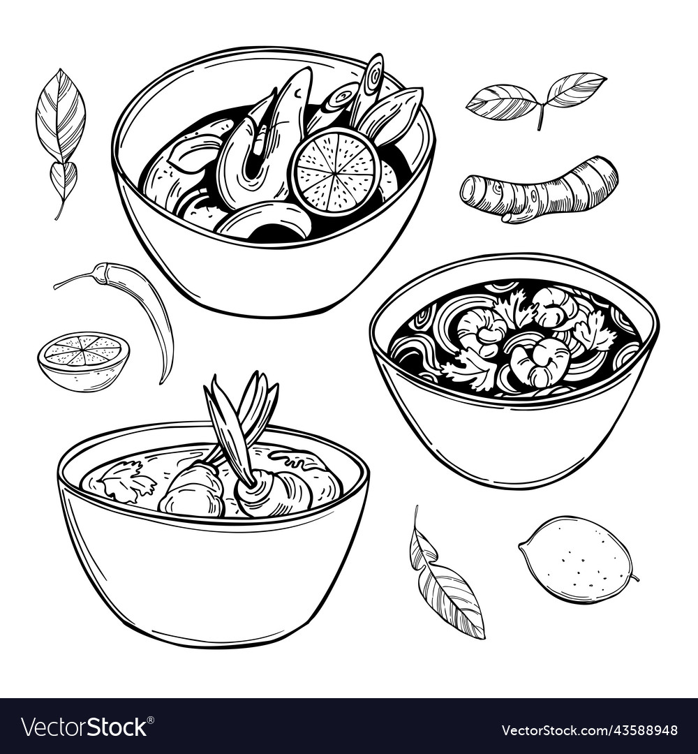 Tom yam soup sketch