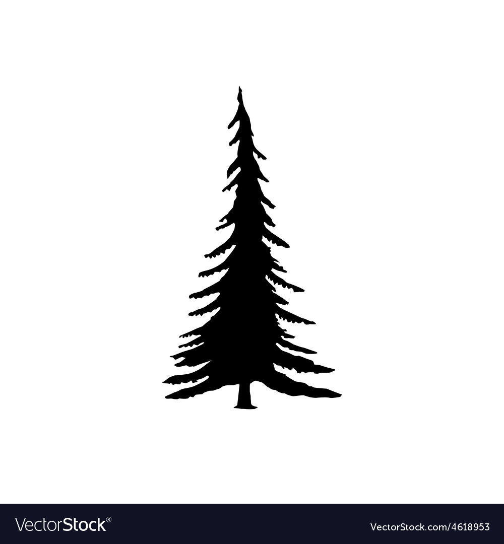 Coniferous Tree Silhouettes