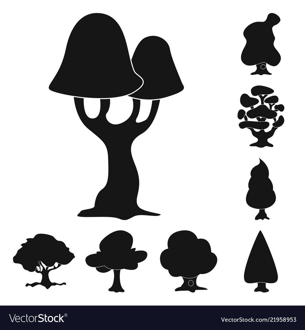 Isolated object of tree and nature icon
