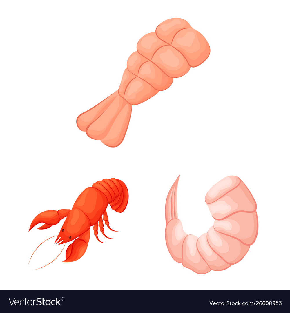 Isolated object shrimp and crab icon set