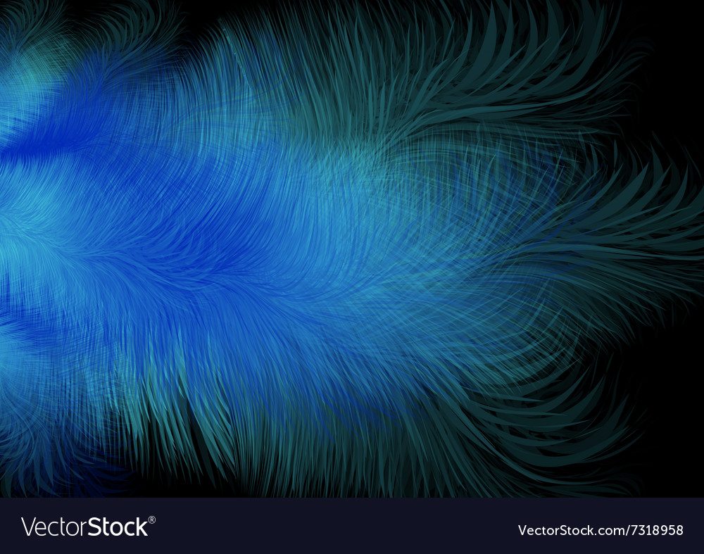 Abstract feather background