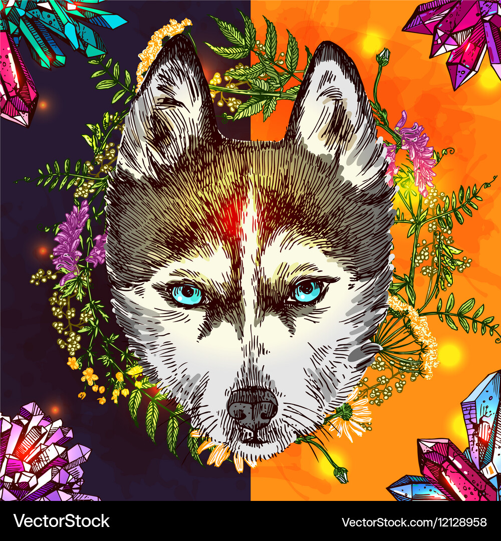 Boho style Royalty Free Vector Image - VectorStock