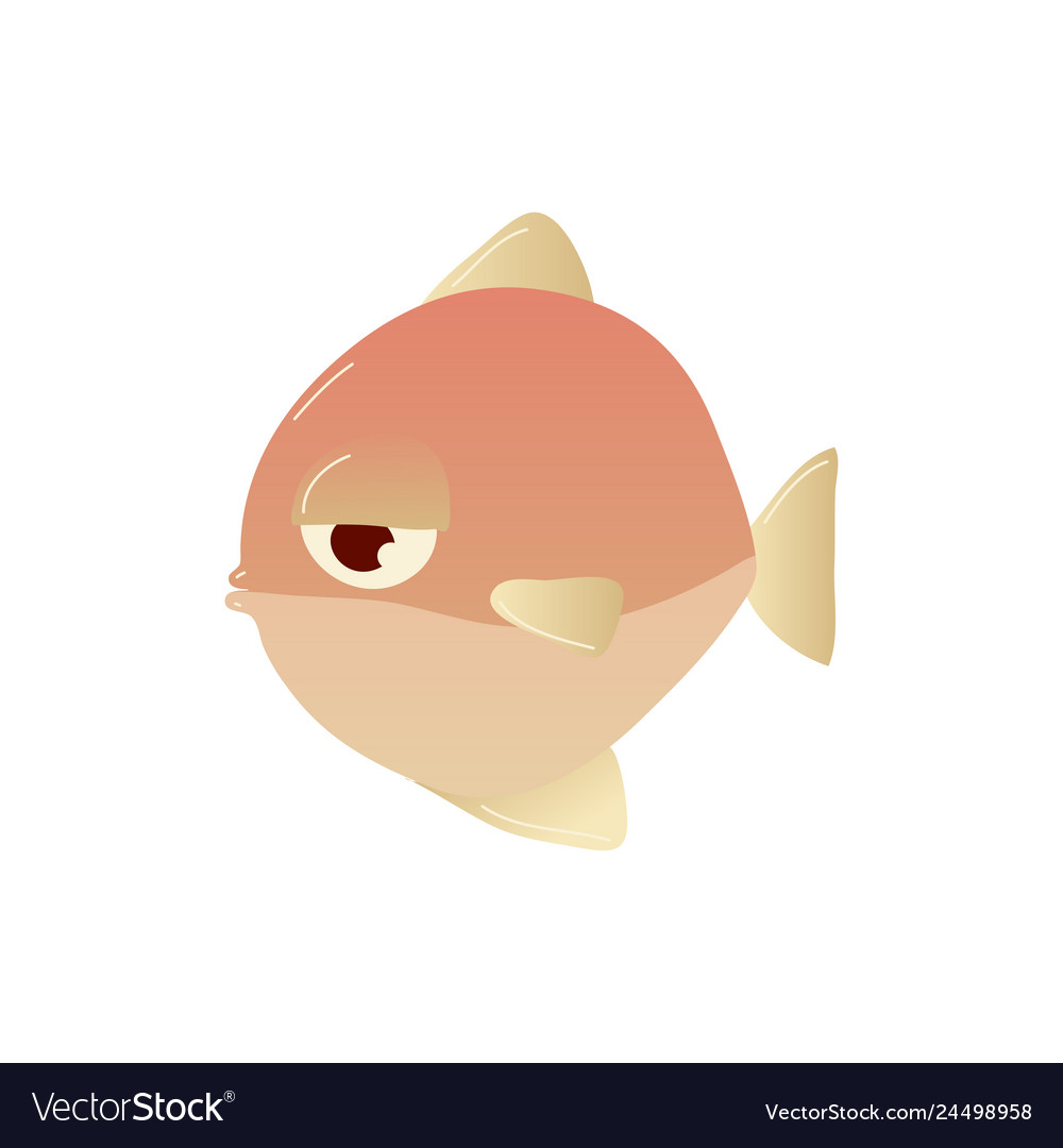 Sea fish on white background water life