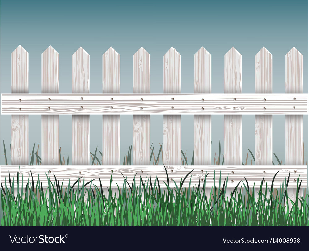 Wooden fence and green grass