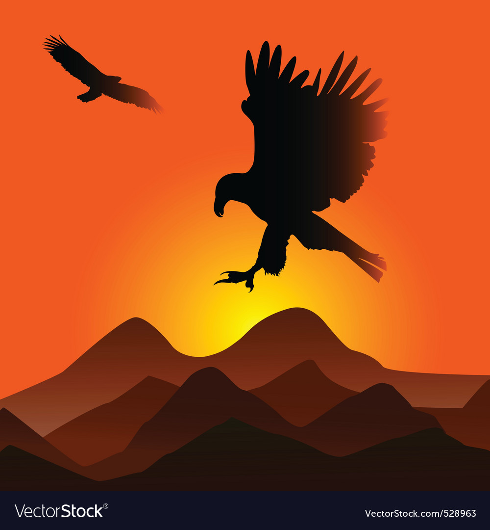 Sunset with eagles Royalty Free Vector Image - VectorStock