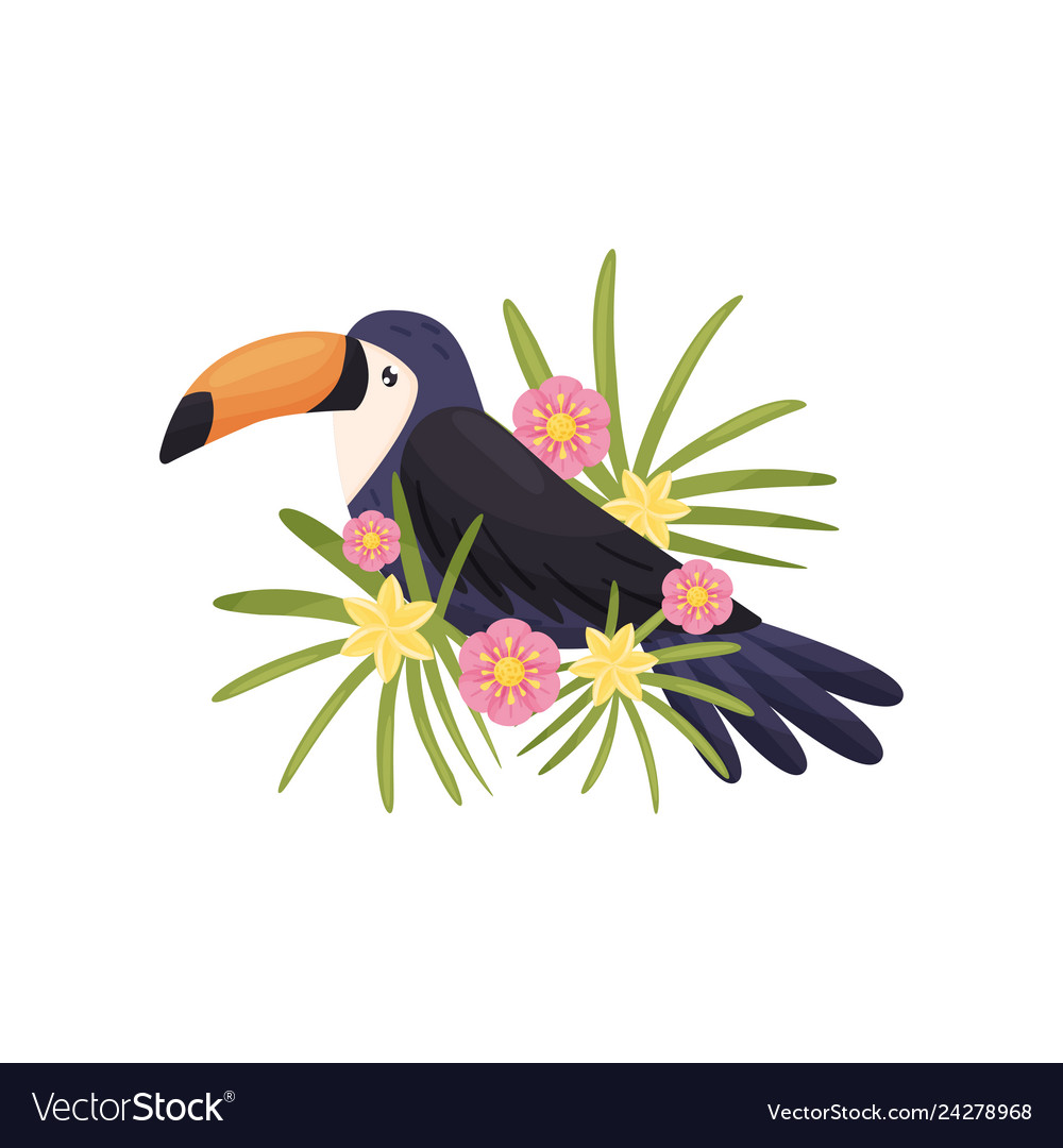 Cartoon toucan on white background flat