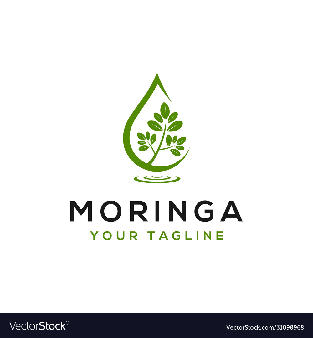 Moringa logo design template Royalty Free Vector Image